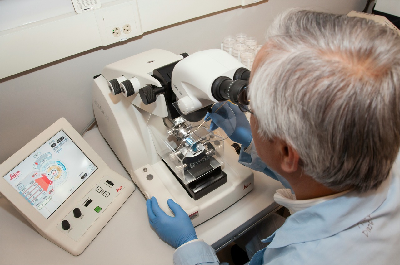 What to Do After You Get Your STD Test Results